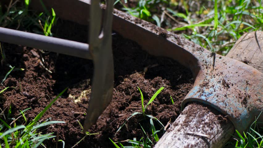 slow motion shot of a golden bitcoin being dug up from soil