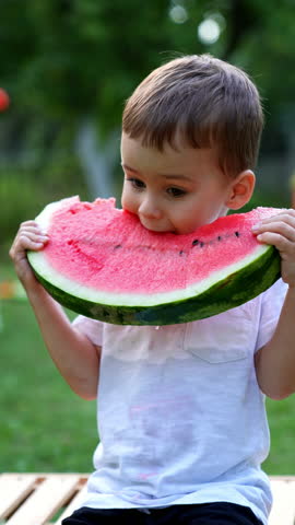 Beautiful Caucasian kid taking big bites from the watermelon slice. Lovely toddler enjoying fresh berry outdoors. Vertical video.