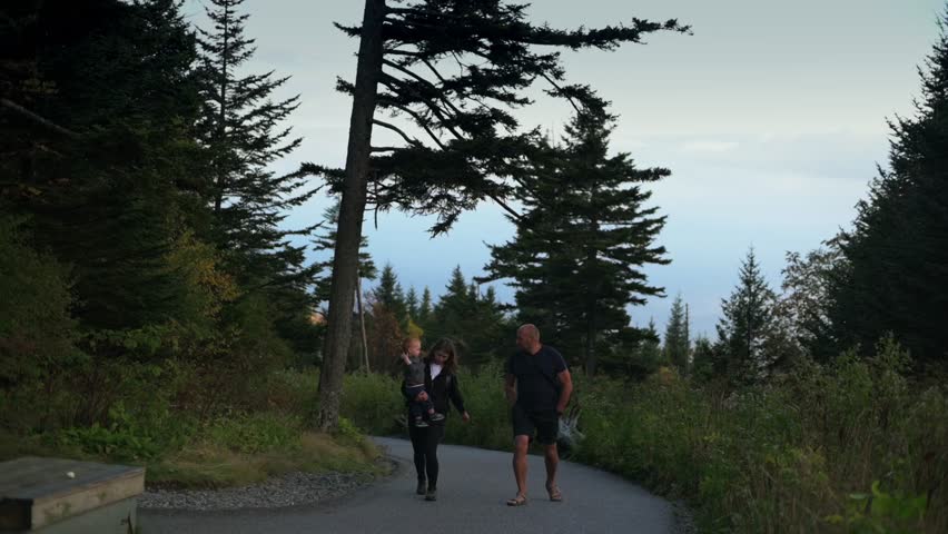 family enjoying peaceful walk along forested path at Clingmans Dome, surrounded by lush trees serene natural beauty in Great Smoky Mountains National Park family peaceful walk Great Smoky Mountains