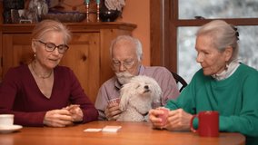An elderly couple sits around a table with their daughter enjoying a lively card game. A small dog is nestled between them adding to the warmth of their family gathering. - Powered by Shutterstock - Get 15% off with code: PIKWIZARD15