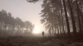Lone hiker walks through a foggy forest at sunrise, creating a serene and peaceful atmosphere, with sunlight streaming through the trees - Powered by Shutterstock - Get 15% off with code: PIKWIZARD15