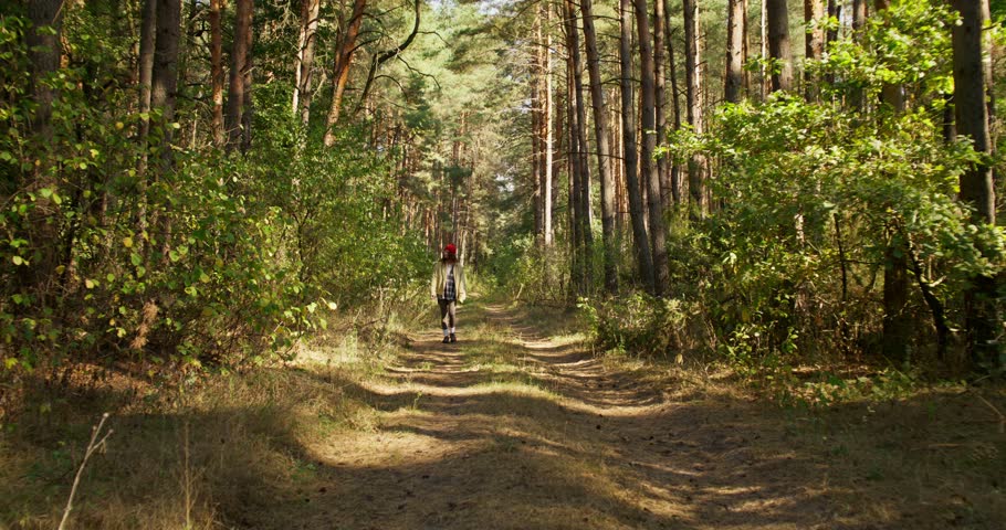A young woman in a red hat walks through the forest on a sunny day. She enjoys nature