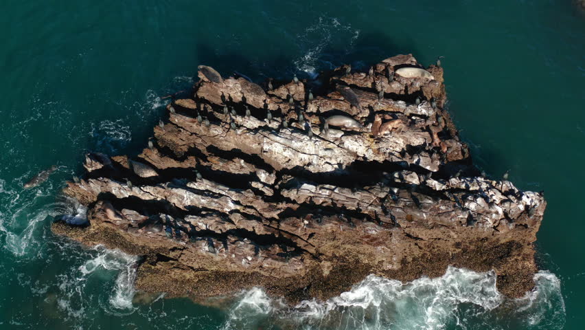 Drone shot overlooking Seal Rock with seals in San Clemente, California