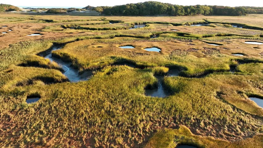 A cape cod salt marsh at sunrise with vibrant green and golden grasslands , aerial view