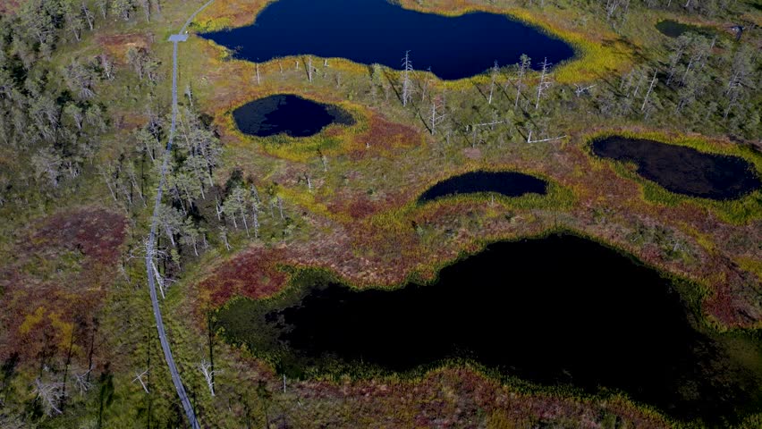 Elevated hiking paths through natural area, cinematic drone shot