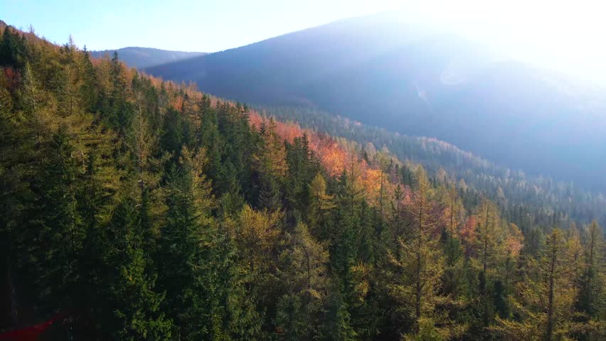 Aerial view, drone flying over trees in fall - Colorado Springs, Colorado