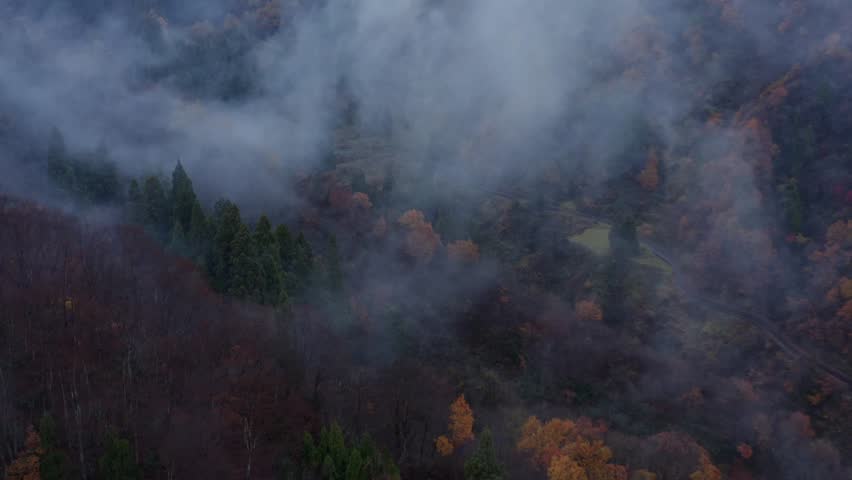 Drone footage: Mountains covered in fog and colored leaves