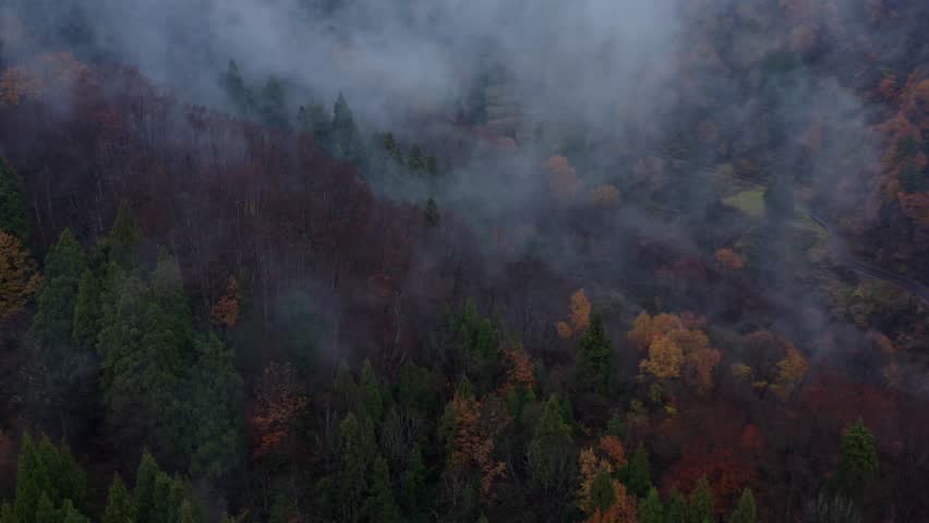Drone footage: Mountains covered in fog and colored leaves