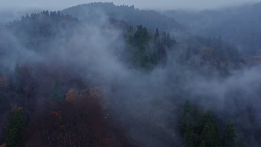 Drone footage: Mountains covered in fog and colored leaves