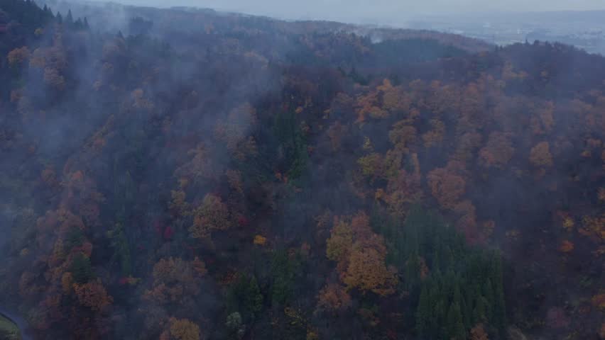 Drone footage: Mountains covered in fog and colored leaves