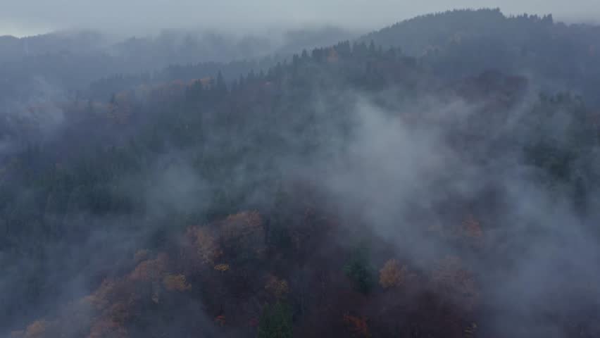 Drone footage: Mountains covered in fog and colored leaves