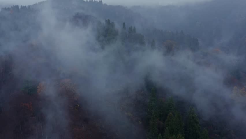 Drone footage: Mountains covered in fog and colored leaves