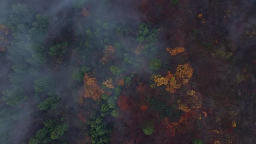 Drone footage: Mountains covered in fog and colored leaves