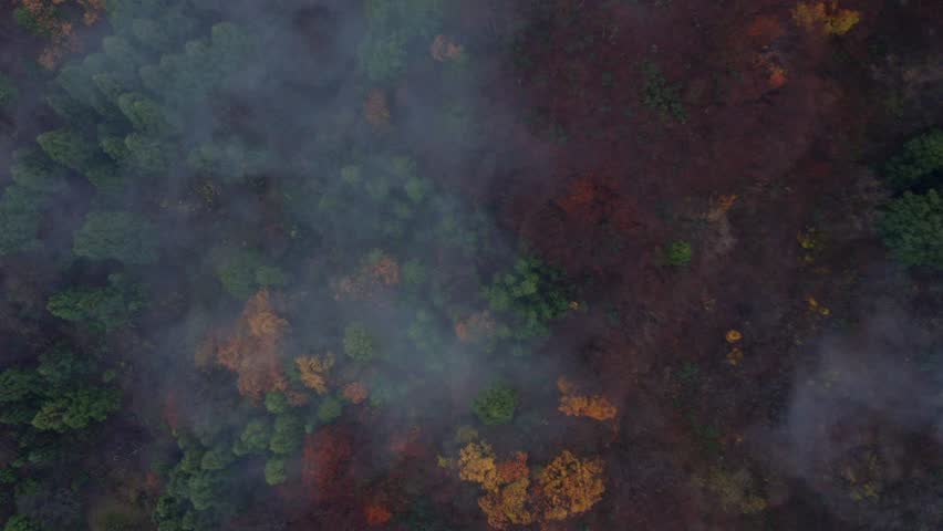 Drone footage: Mountains covered in fog and colored leaves