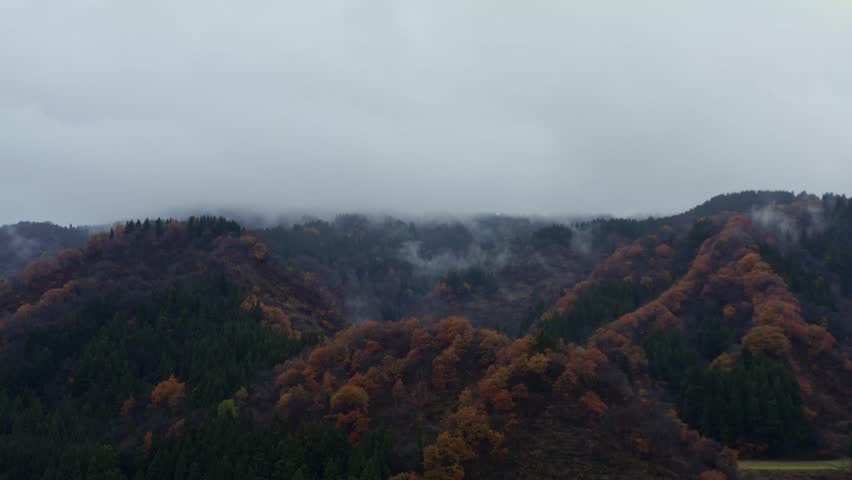 Drone footage: Mountains covered in fog and colored leaves