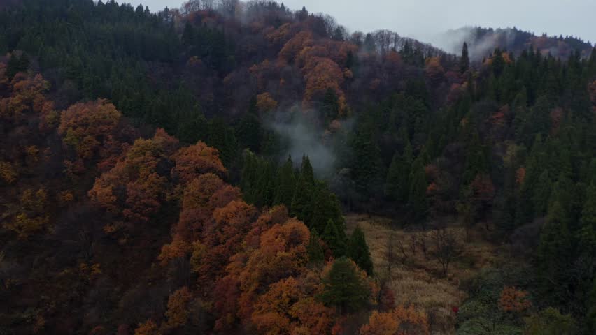 Drone footage: Mountains covered in fog and colored leaves