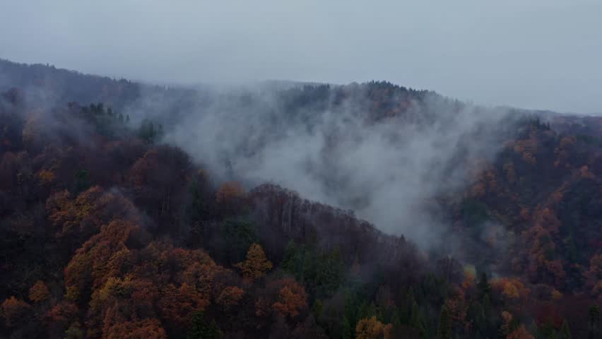 Drone footage: Mountains covered in fog and colored leaves