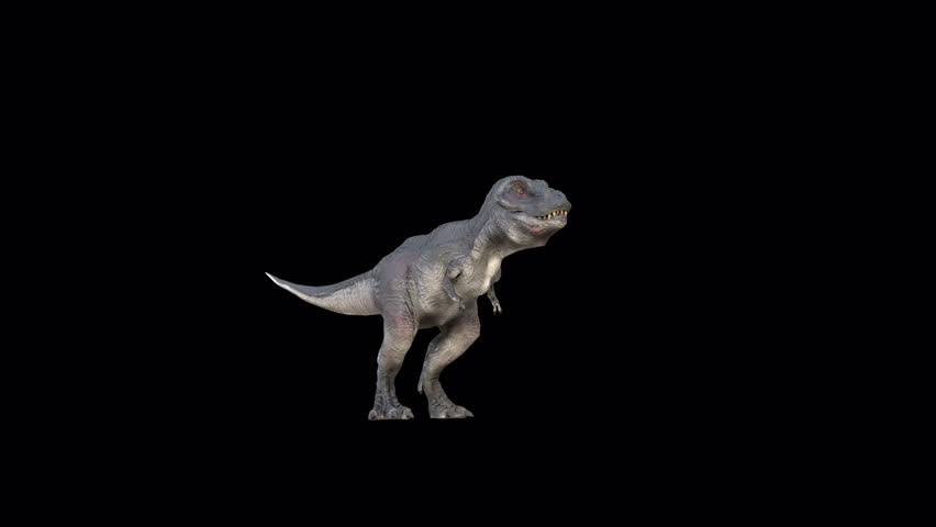Tyrannosaurus Rex idle 3D Video Animation Transparent Alpha