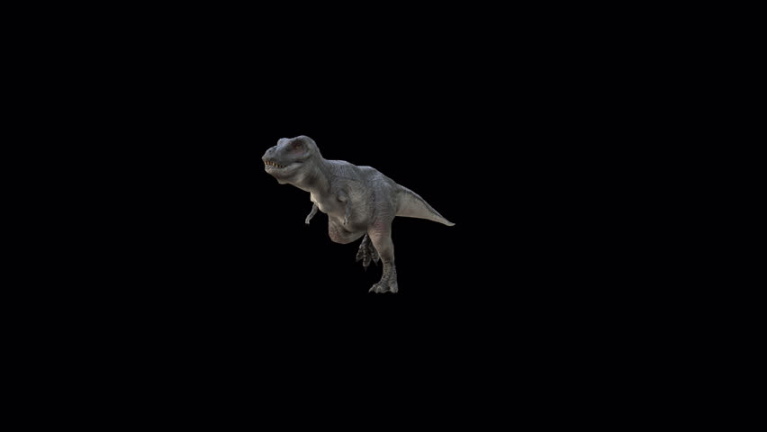 Tyrannosaurus Rex Run 3D Video Animation Transparent Alpha