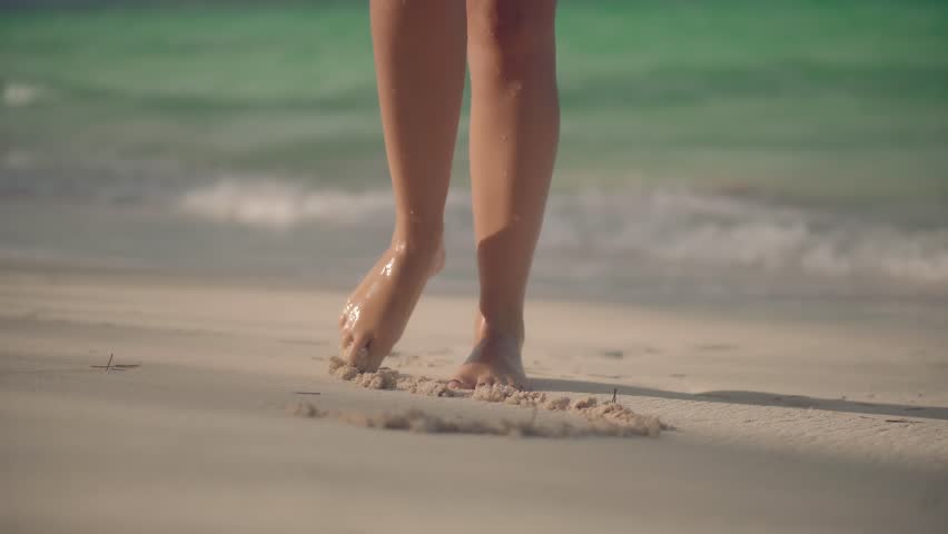 Shutterstock Video