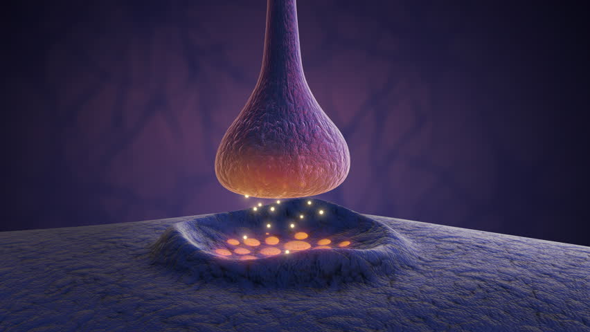 Neural Pathways Strengthened by Synaptic Signal Activity - Powered by Shutterstock - Get 15% off with code: PIKWIZARD15