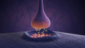 Neural Pathways Strengthened by Synaptic Signal Activity - Powered by Shutterstock - Get 15% off with code: PIKWIZARD15