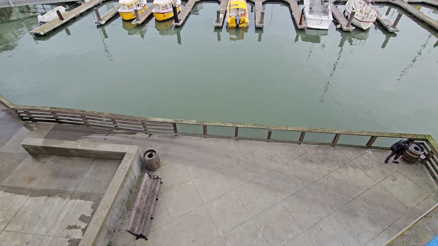 footage of boats and yachts docked in the marina with vast ocean water at Pier 39 at Fisherman