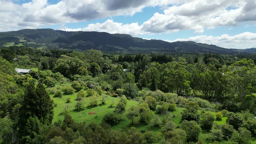 A drone captures the farmland in new zealand with beautiful trees and cloudy sky.