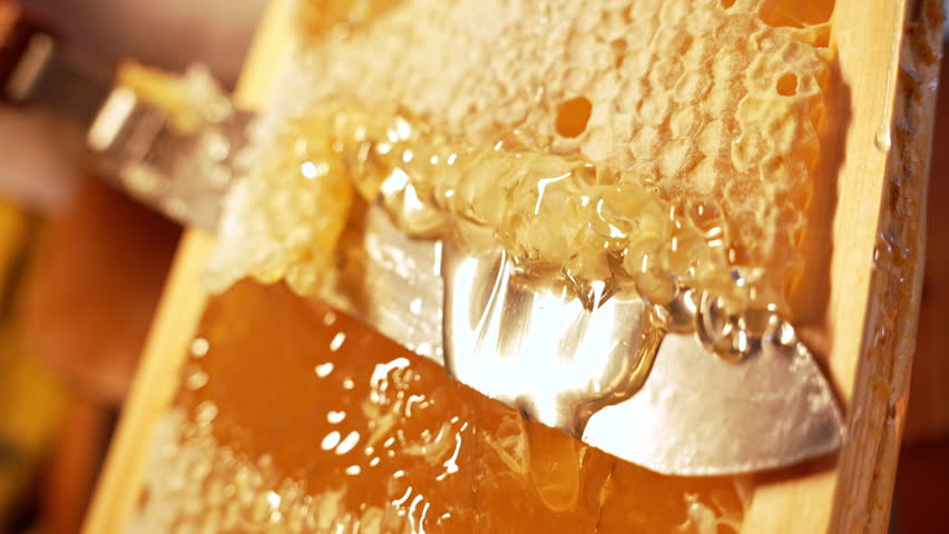Cutting Sealed Honeycomb With Knife. Honey Production, Apiary, Natural