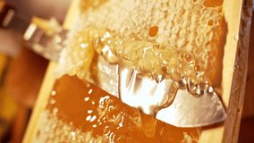 Cutting Sealed Honeycomb With Knife. Honey Production, Apiary, Natural - Powered by Shutterstock - Get 15% off with code: PIKWIZARD15