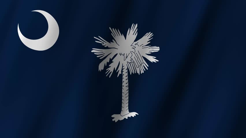 Animated Flag of South Carolina, USA 4k video