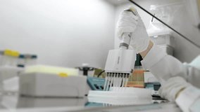 A genetics laboratory researcher drops samples with a multichannel pipette. Concept for studying DNA in a modern laboratory. Science and medicine. Lab Experimentation for Genetic Studies. - Powered by Shutterstock - Get 15% off with code: PIKWIZARD15