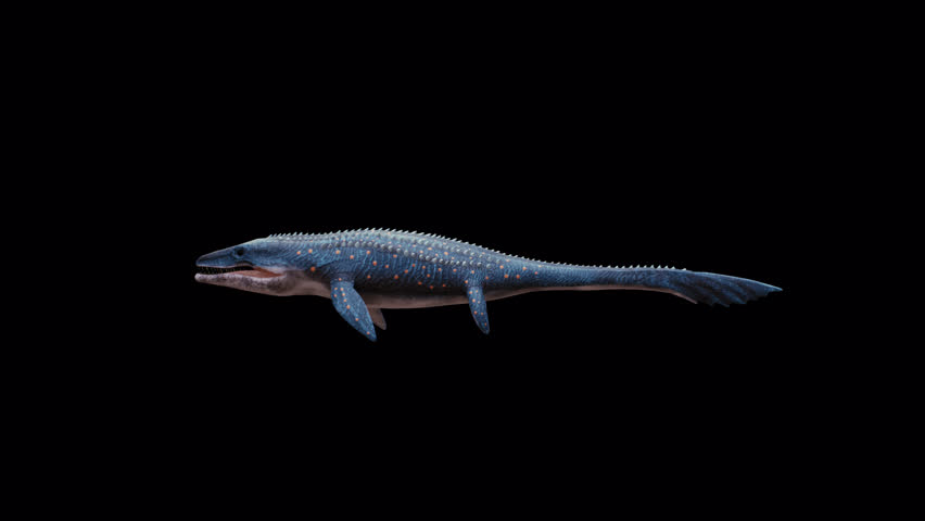 Dinosaur Mosasaur 3D Video Animation Transparent Alpha