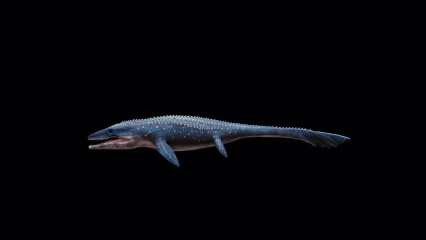 Dinosaur Mosasaur 3D Video Animation Transparent Alpha