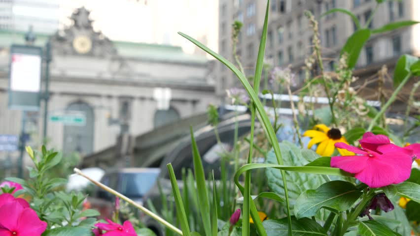 New York City Grand Central Terminal railway station building on 42 street. Manhattan Midtown, Pershing Square, NYC, USA. American urban scene, United States. Summer or spring flowers on flowerbed.