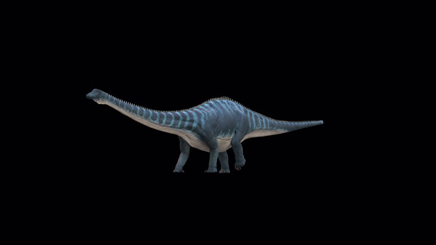 Diplodocus Dinosaur Walk 3D Video Animation Transparent Alpha