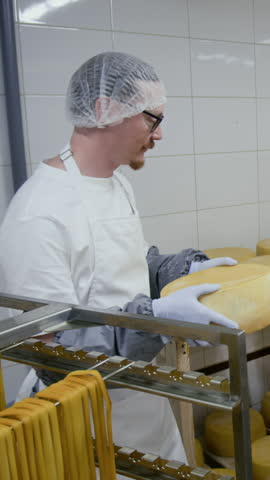 Medium vertical shot of male factory technologist in white apron, gloves bringing large wheel of cheese into ripening chamber, placing on wooden shelf for maturing