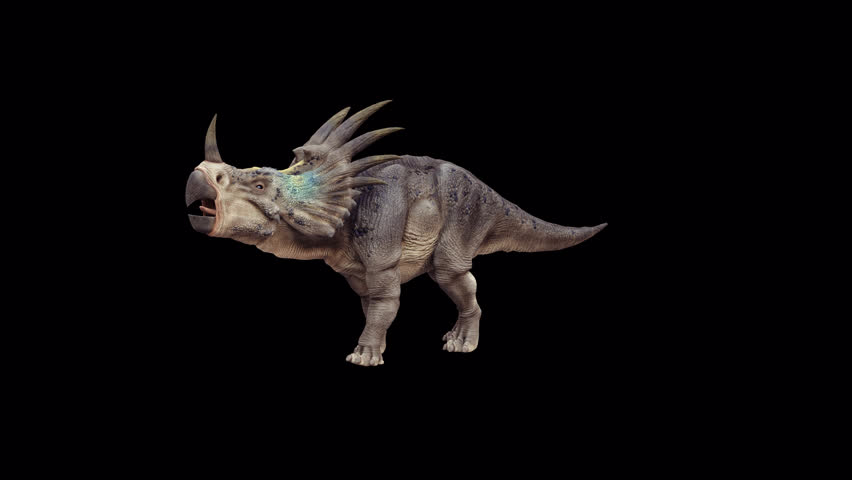 Styracosaurus Dinosaur 3D Video Animation Transparent Alpha