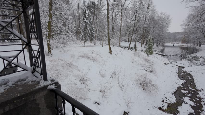 A beautiful walk through the winter forest. Trees, branches and bushes in the snow. Snow everywhere. The path in the forest is covered with snow.