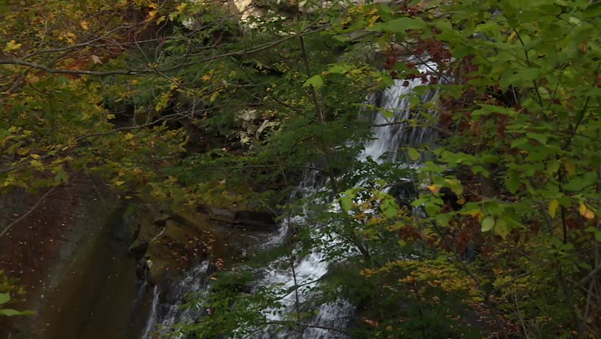 Flowing Waterfall Surrounded by Vibrant Autumn Foliage in a Tranquil Forest