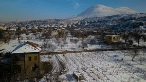 Crows flying in the forest on a winter day - Powered by Shutterstock - Get 15% off with code: PIKWIZARD15