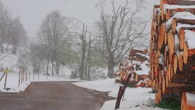 Round timber logs stack during a winter blizzard next to a rural road - Powered by Shutterstock - Get 15% off with code: PIKWIZARD15