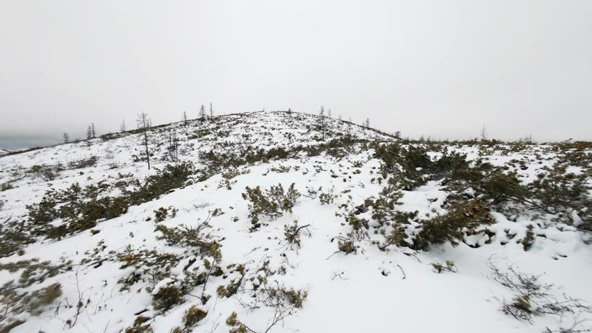 Winter landscape features a snowy mountain top with sparse vegetation and fog. The atmosphere is cold and serene, showcasing nature