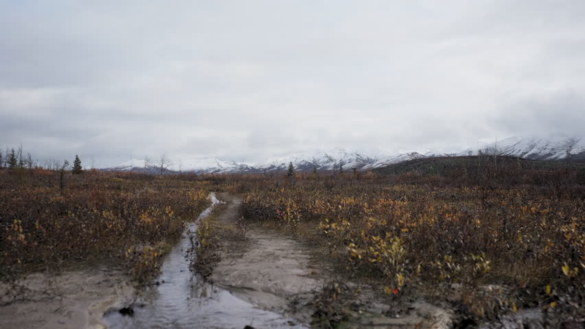 A small stream leading up to the Denali Mountain Range near Denali National Park, wide angle landscape of Alaska