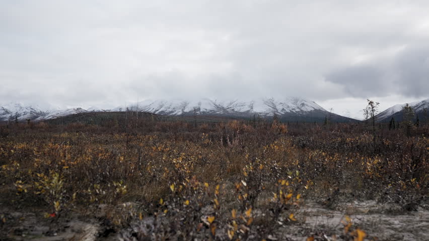 Wide angle landscape shot of Denali Mountain Range near Denali National Park