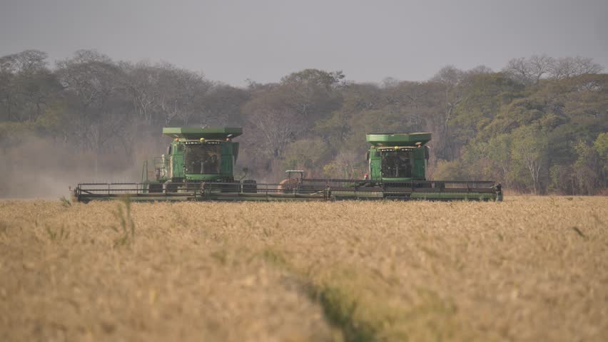 Combined harvesters in full motion.