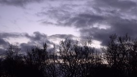 A twilight sky filled with dark, wind-swept clouds. Bare tree branches sway in the wind, creating a dramatic and disturbing scene that highlights the beauty of nature at dusk. - Powered by Shutterstock - Get 15% off with code: PIKWIZARD15