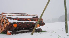 Round timber logs stack during a winter blizzard - Powered by Shutterstock - Get 15% off with code: PIKWIZARD15