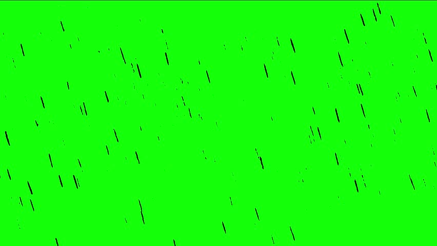 Shutterstock Video