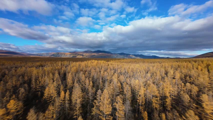 Enjoy an aerial exploration of a sprawling forest showcasing brilliant autumn hues beneath a blue sky dotted with clouds, framed by majestic mountains in the distance.